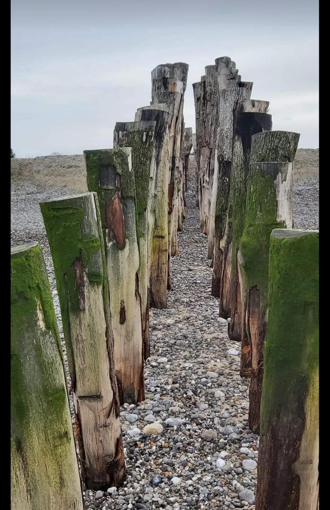 Gite D'Eros Saint-Valéry-sur-Somme Esterno foto